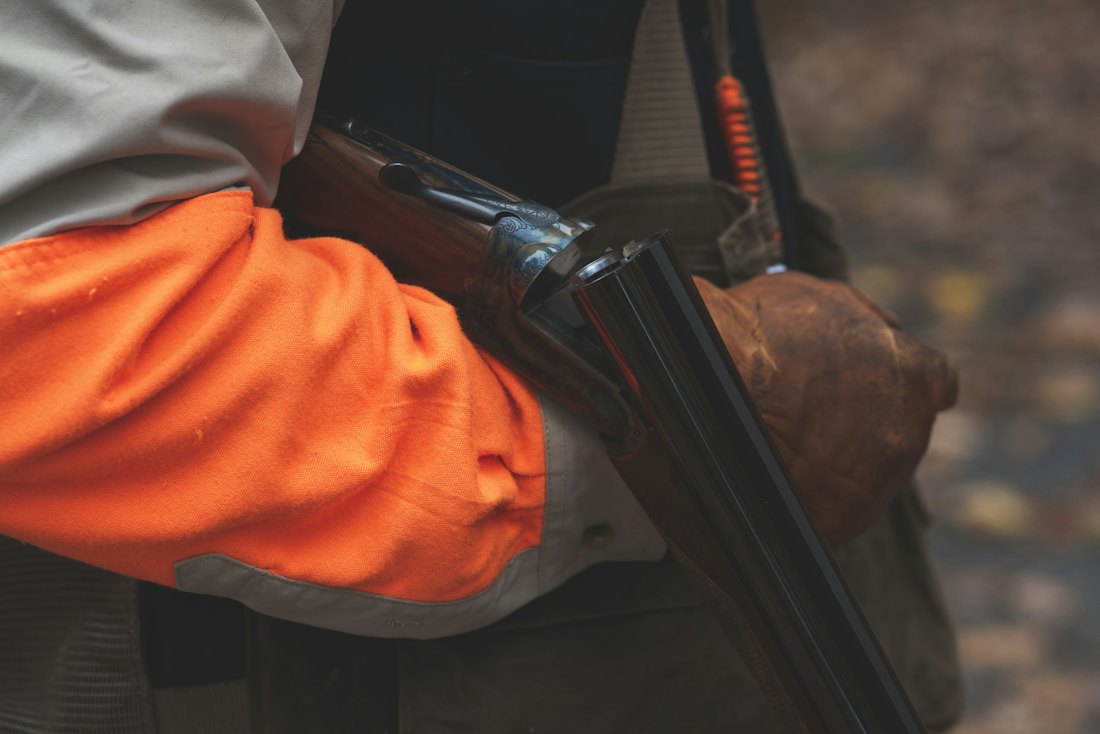 A hunter in a blaze orange coat carrying a side-by-side shotgun in the fall woods